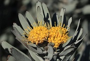 Karoo Farm Stay